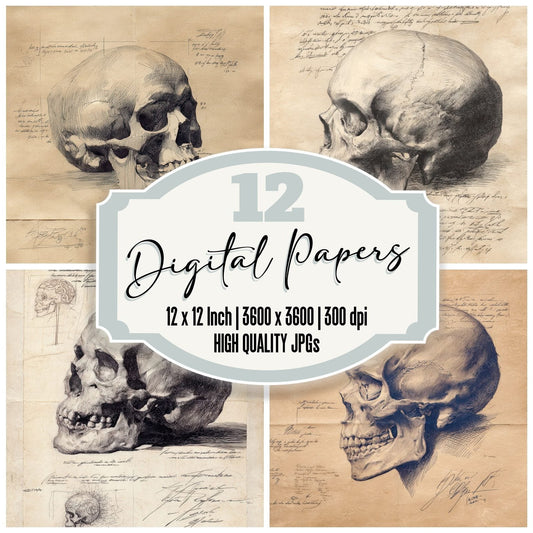 Sketch Anatomical Skull Study Digital Paper Pack (DDD003501)