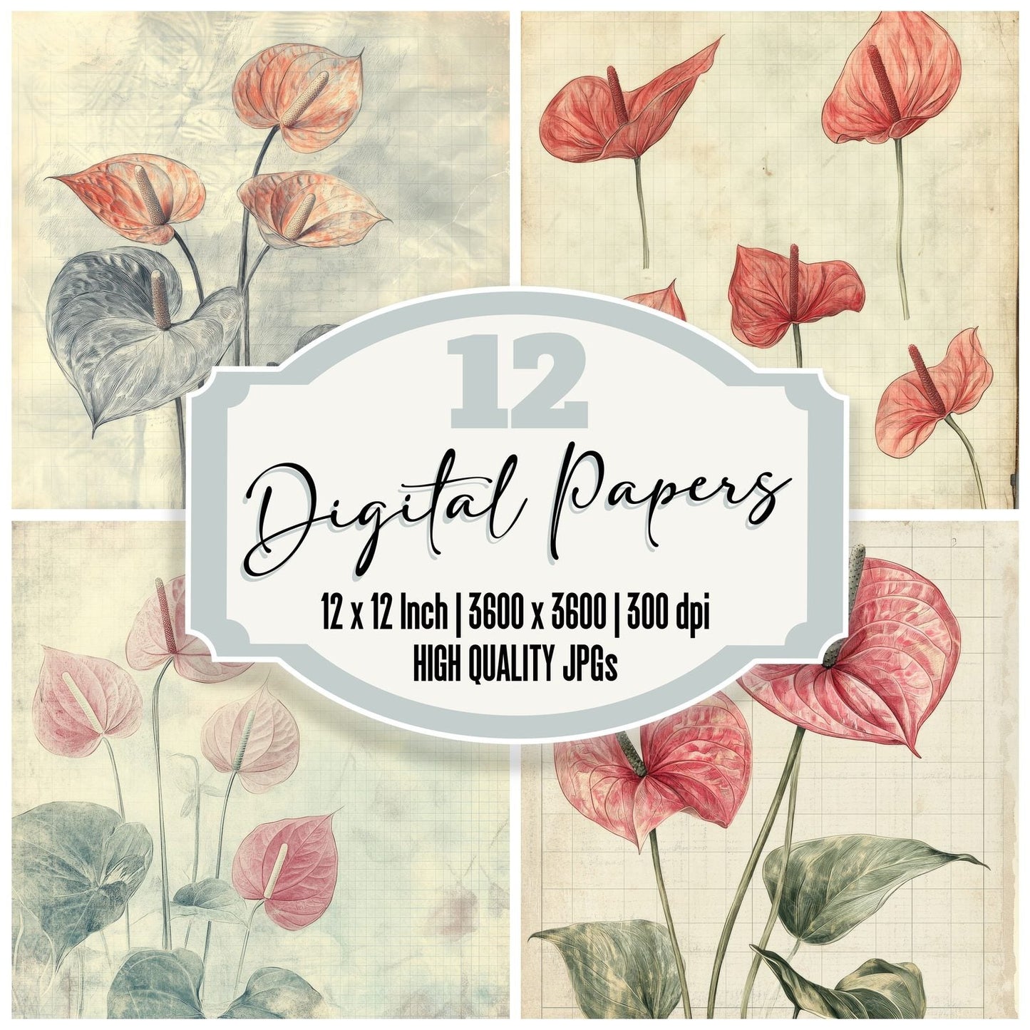 Sketch Anthurium Notepad Digital Paper Pack (DDD003504)