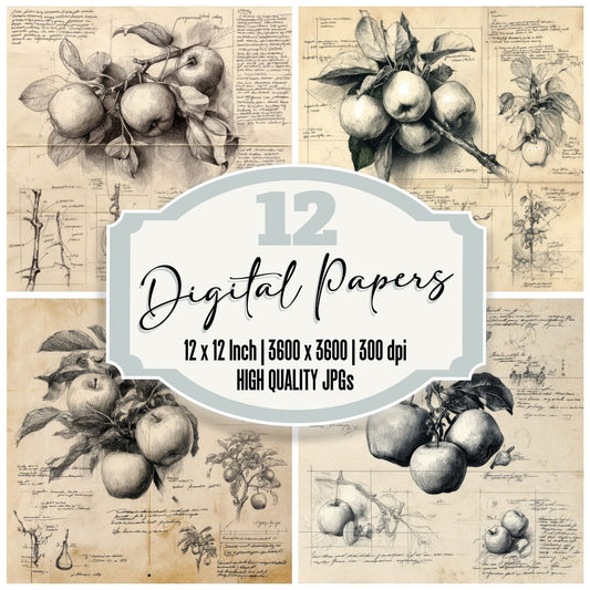 Sketch Apples Branch Digital Paper Pack (DDD003505)
