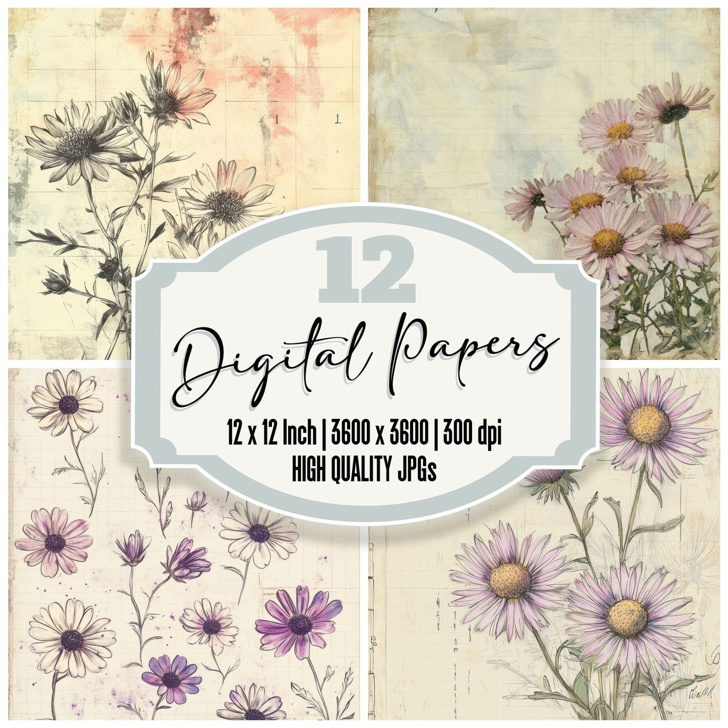 Sketch Aster Notepad Digital Paper Pack (DDD003506)