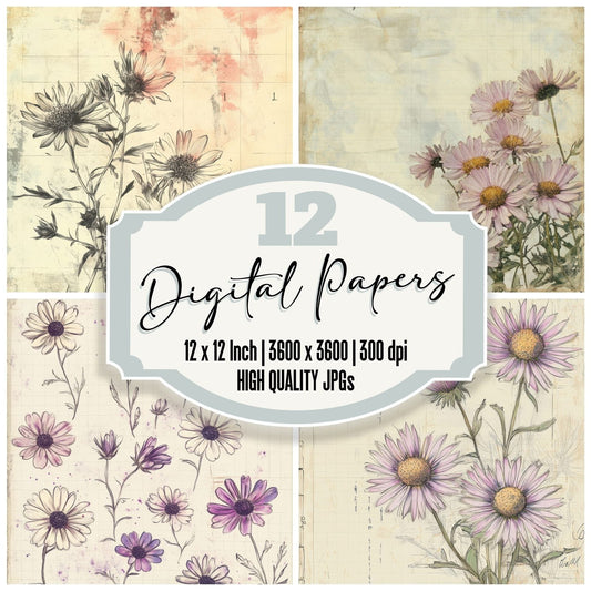 Sketch Aster Notepad Digital Paper Pack (DDD003506)
