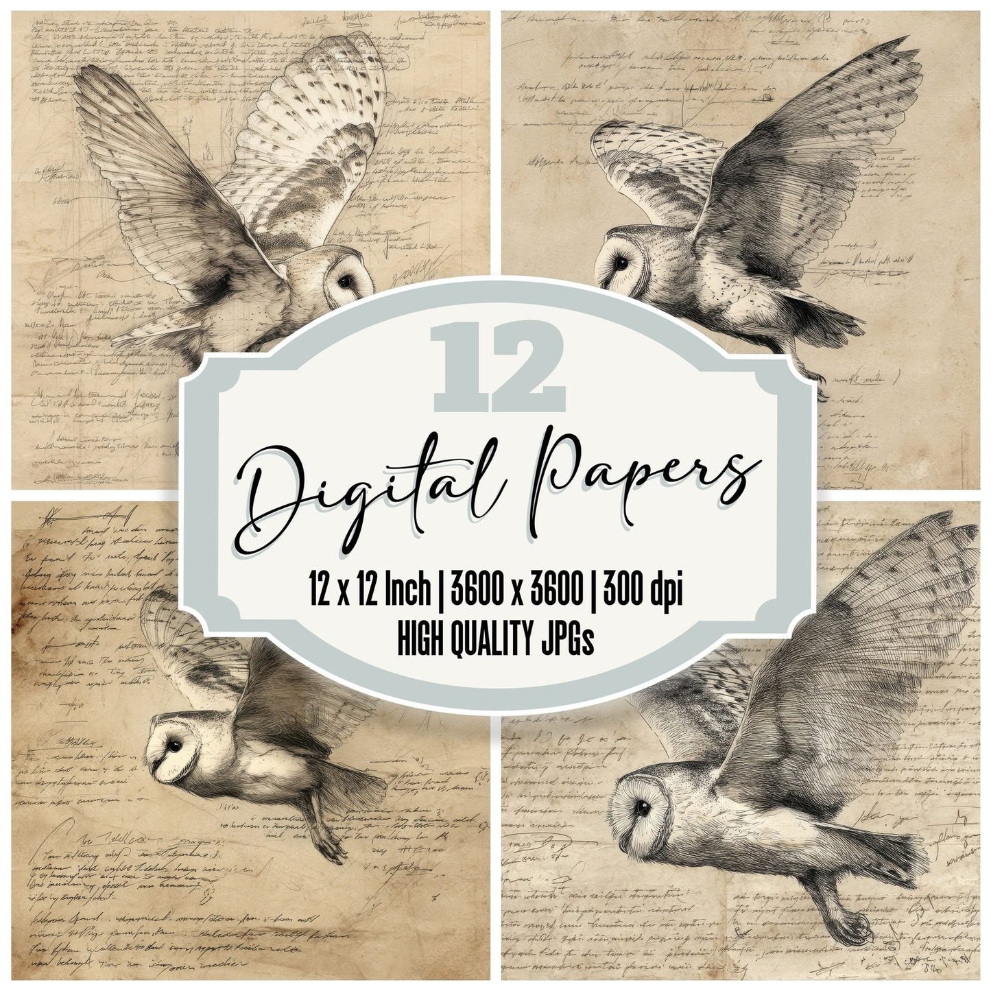 Sketch Barn Owl Flight Sheet Digital Paper Pack (DDD003507)