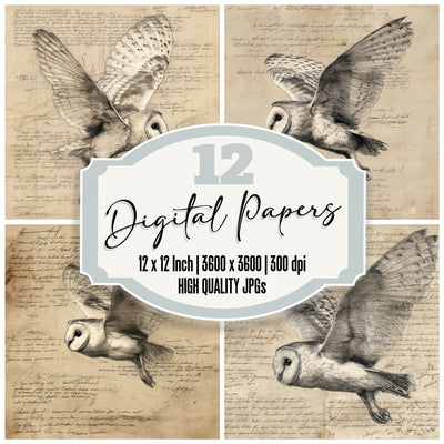 Sketch Barn Owl Flight Sheet Digital Paper Pack (DDD003507)