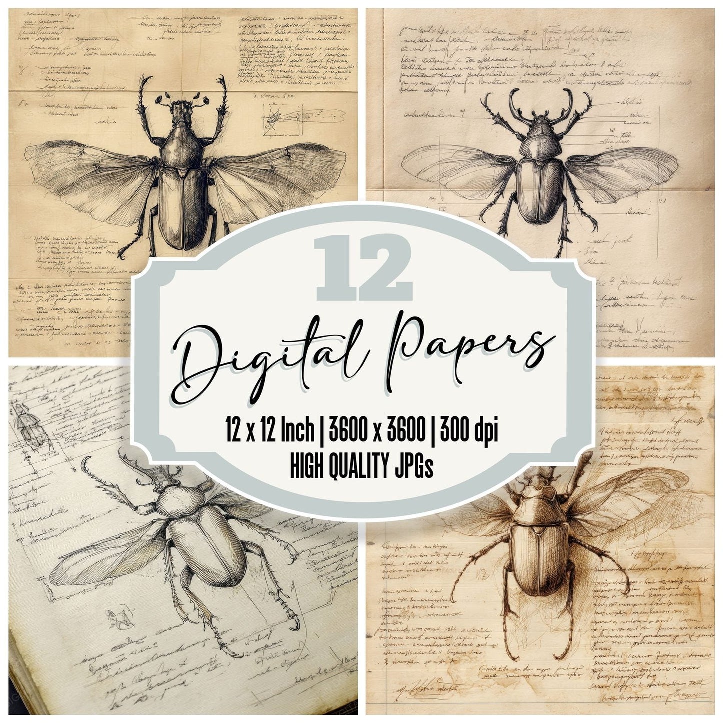 Sketch Beetle Winged Plate Digital Paper Pack (DDD003508)