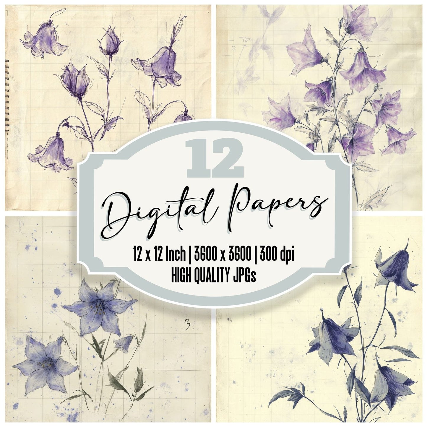 Sketch Bellflower Notepad Digital Paper Pack (DDD003510)