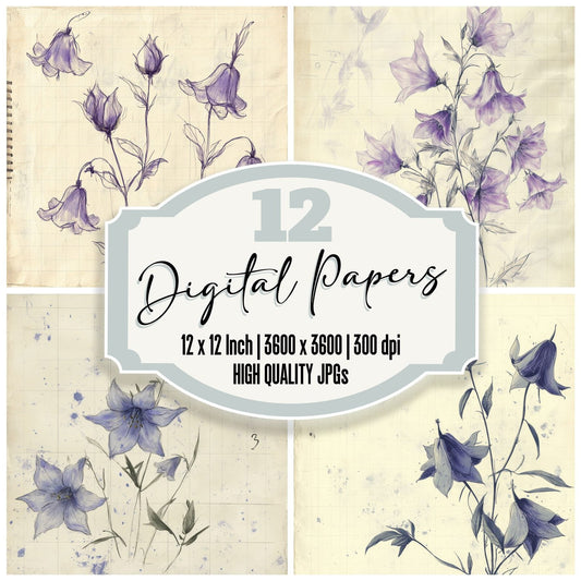 Sketch Bellflower Notepad Digital Paper Pack (DDD003510)
