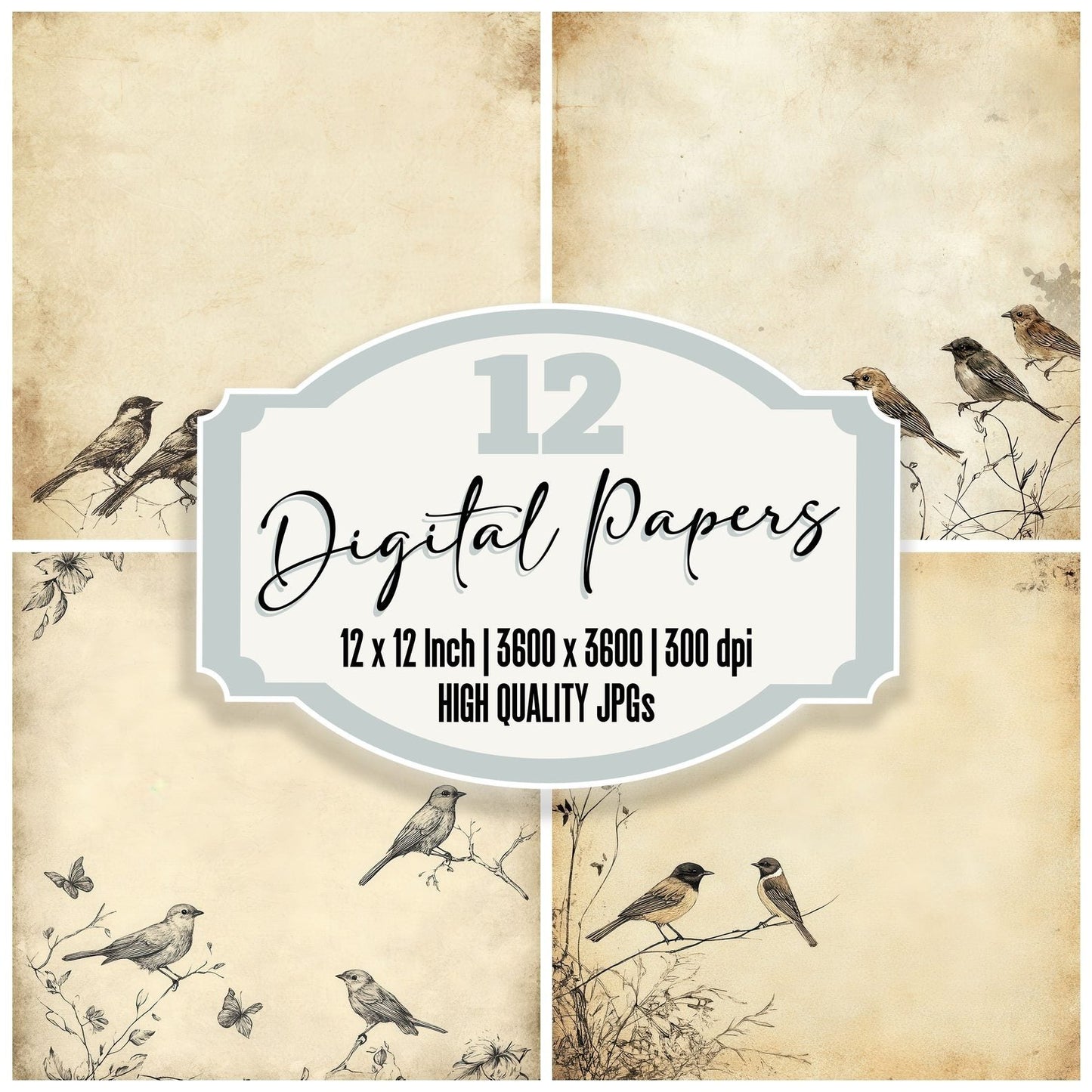Sketch Bird Perch Digital Paper Pack (DDD003511)