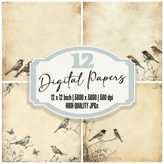 Sketch Bird Perch Digital Paper Pack (DDD003511)