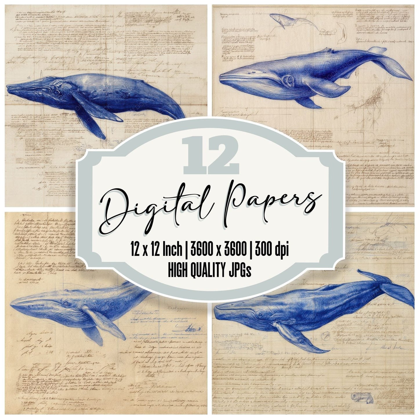 Sketch Blue Whale Overview Digital Paper Pack (DDD003513)