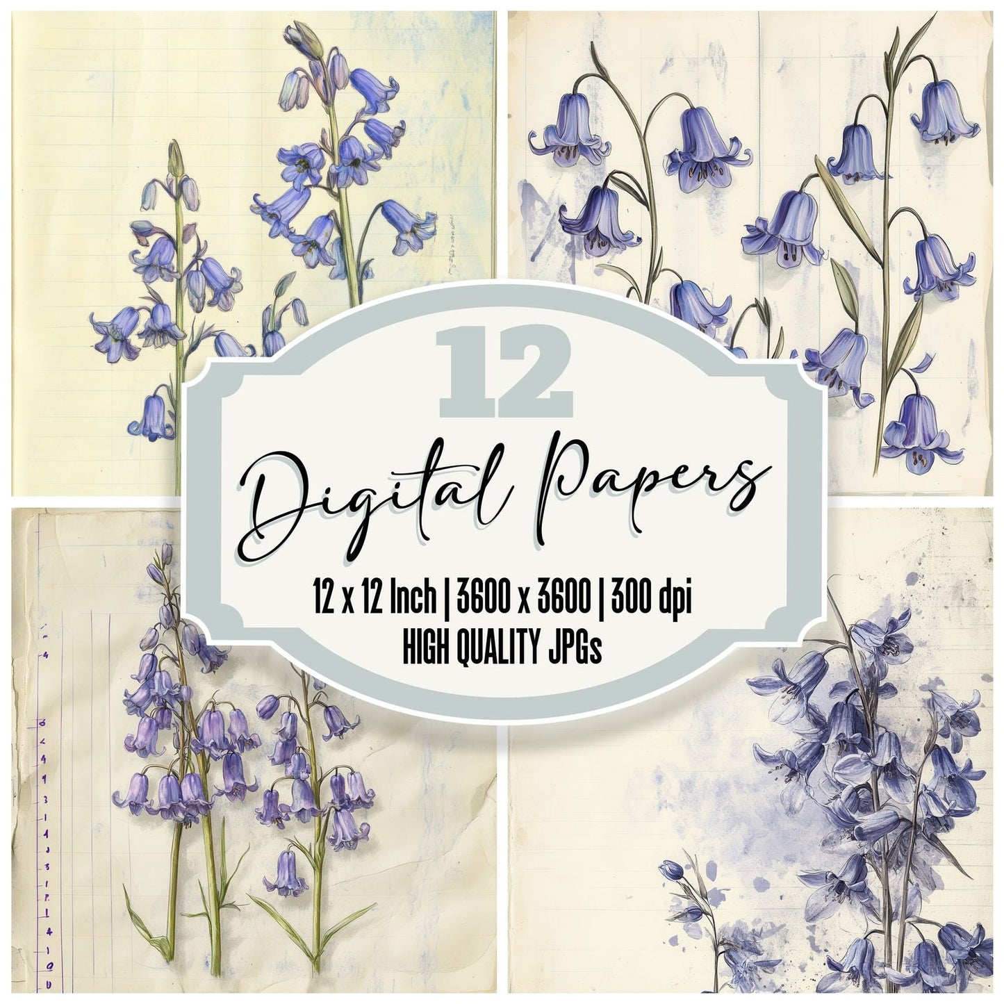 Sketch Bluebell Colour Digital Paper Pack (DDD003514)