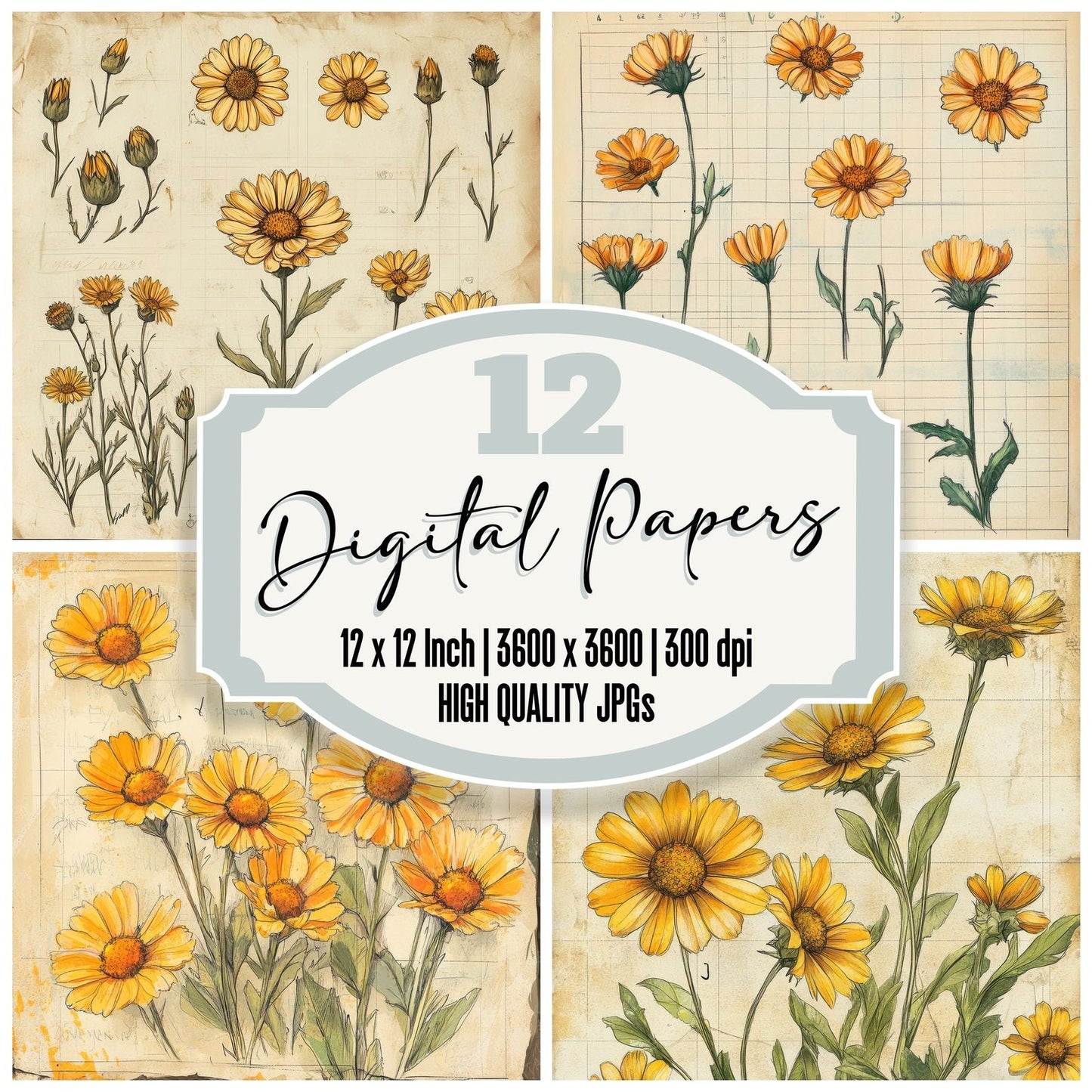 Sketch Calendula Notepad Digital Paper Pack (DDD003518)