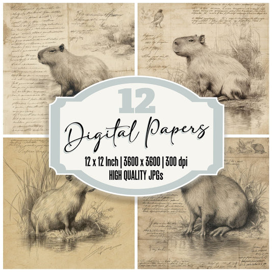 Sketch Capybara Wetland Plate Digital Paper Pack (DDD003522)