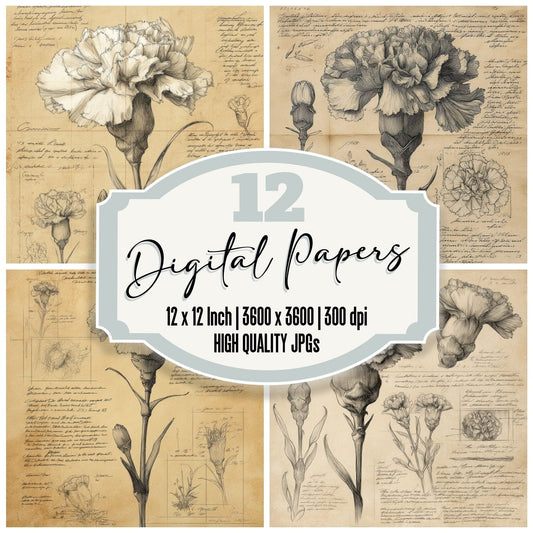 Sketch Carnation Bloom Focus Digital Paper Pack (DDD003523)