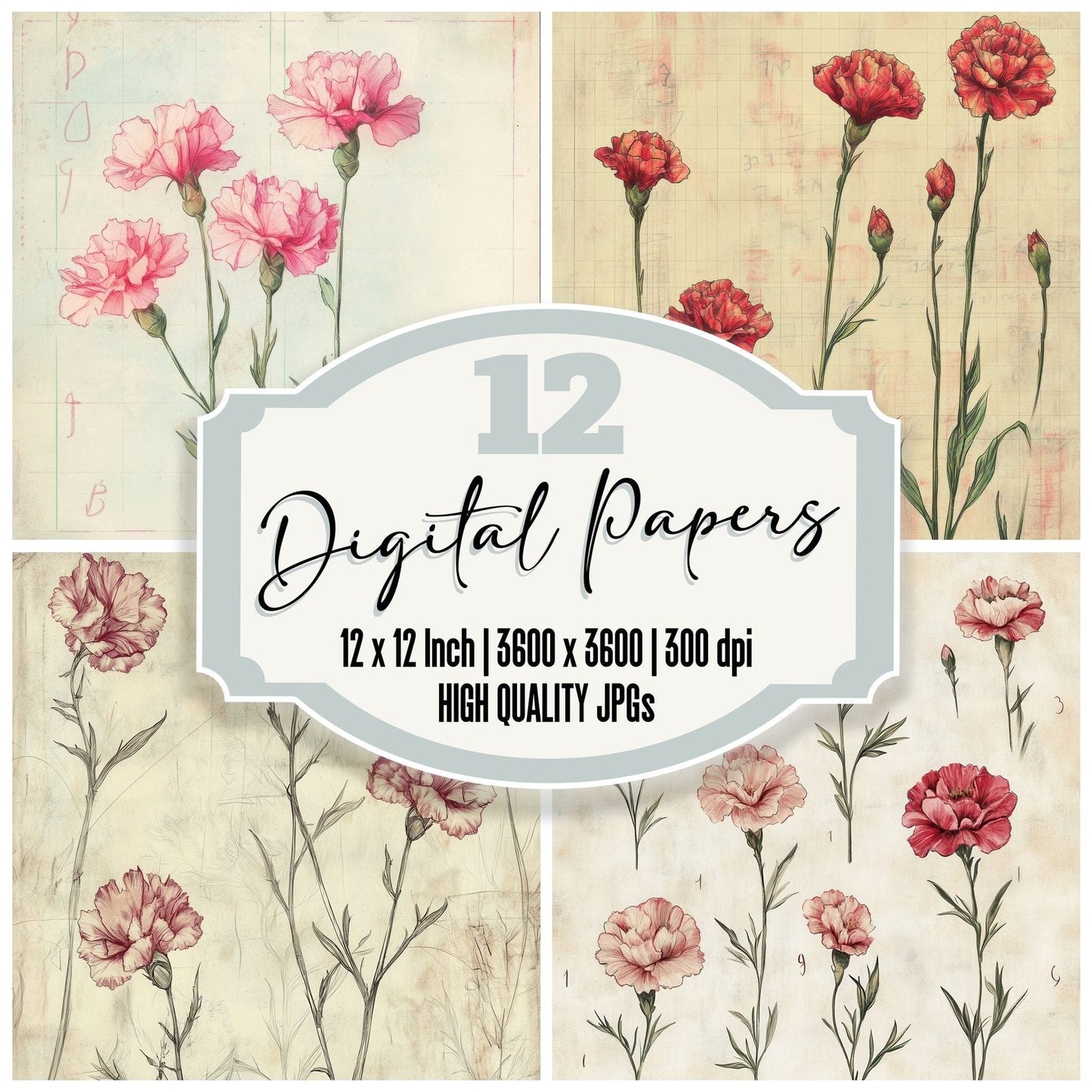 Sketch Carnation Notepad Digital Paper Pack (DDD003524)
