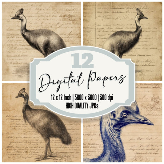 Sketch Cassowary Profile Plate Digital Paper Pack (DDD003525)