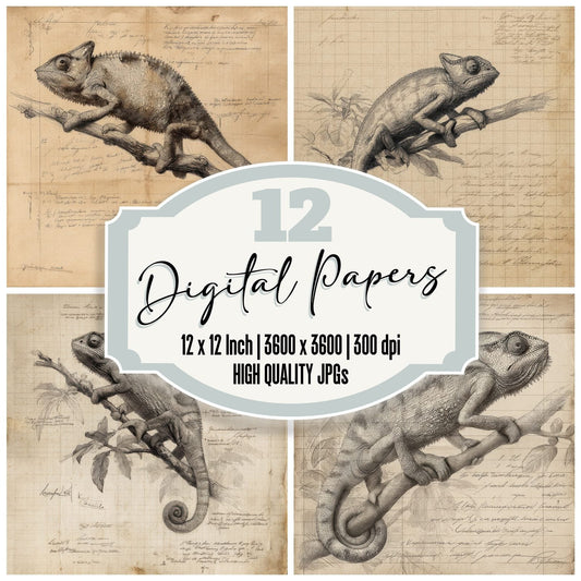 Sketch Chameleon Botanical Chart Digital Paper Pack (DDD003527)