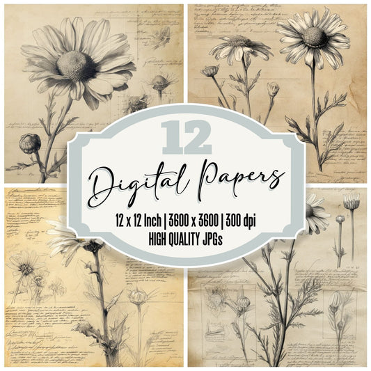 Sketch Chamomile Centre Detail Digital Paper Pack (DDD003528)