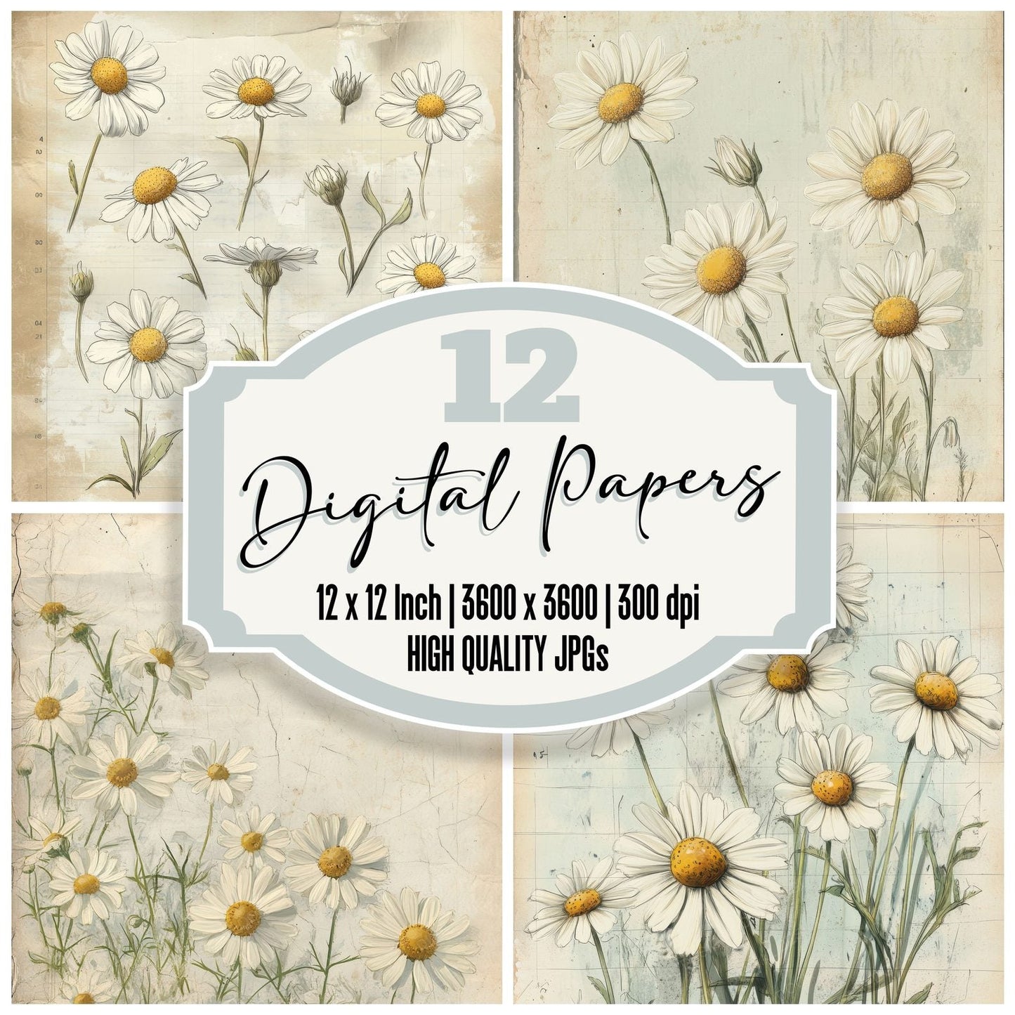 Sketch Chamomile Notepad Digital Paper Pack (DDD003529)