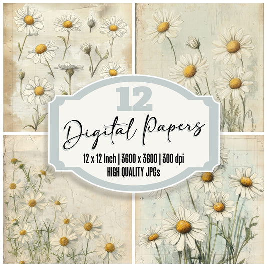 Sketch Chamomile Notepad Digital Paper Pack (DDD003529)