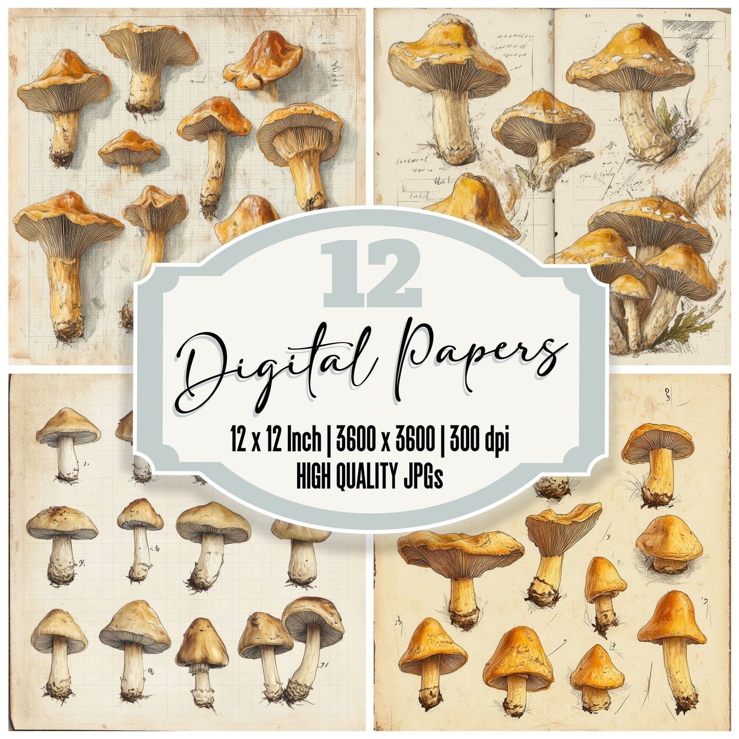 Sketch Chanterelle Notepad Digital Paper Pack (DDD003531)