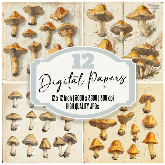 Sketch Chanterelle Notepad Digital Paper Pack (DDD003531)