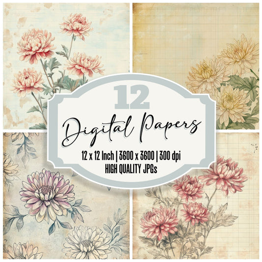 Sketch Chrysanthemum Notepad Digital Paper Pack (DDD003532)