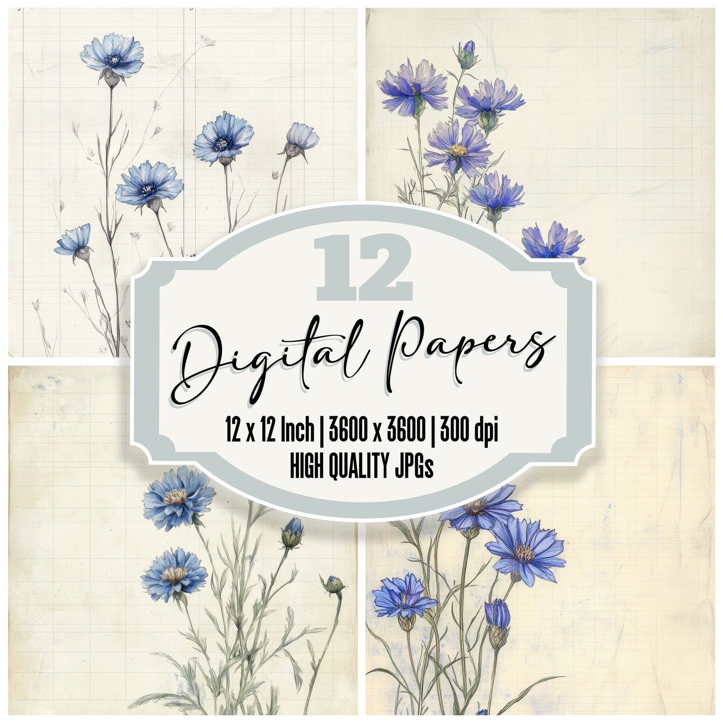 Sketch Cornflower Notepad Digital Paper Pack (DDD003535)