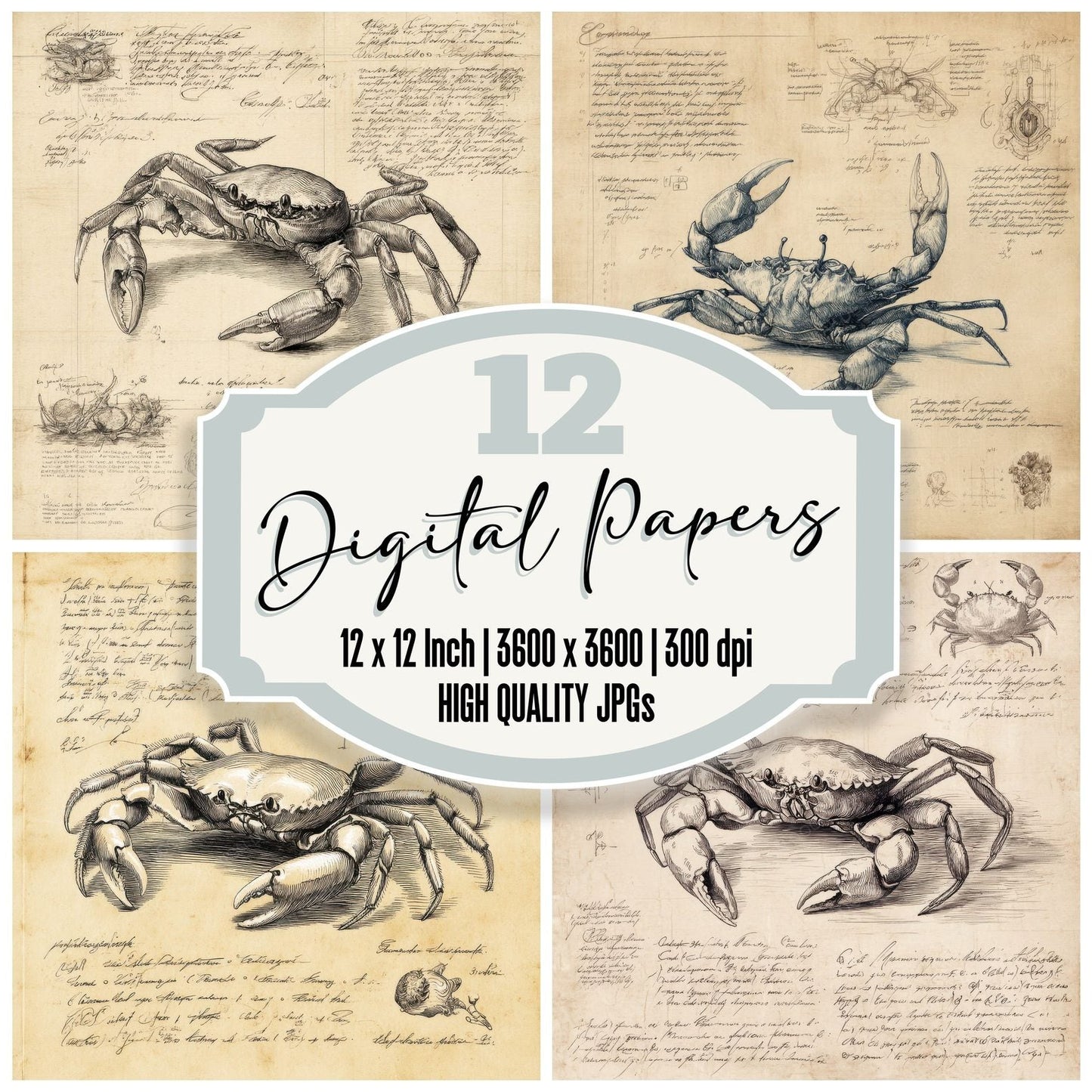 Sketch Crab Anatomy Study Digital Paper Pack (DDD003537)