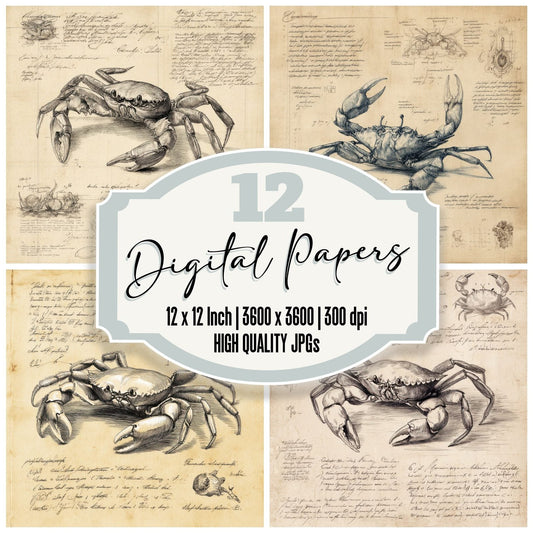 Sketch Crab Anatomy Study Digital Paper Pack (DDD003537)