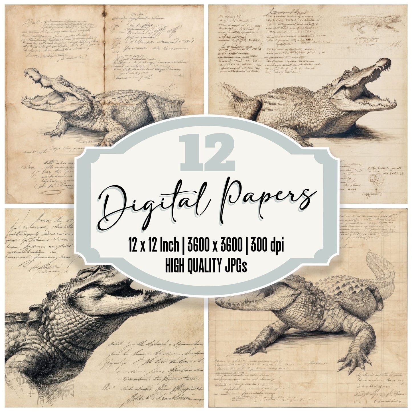 Sketch Crocodile Jawed Study Digital Paper Pack (DDD003538)