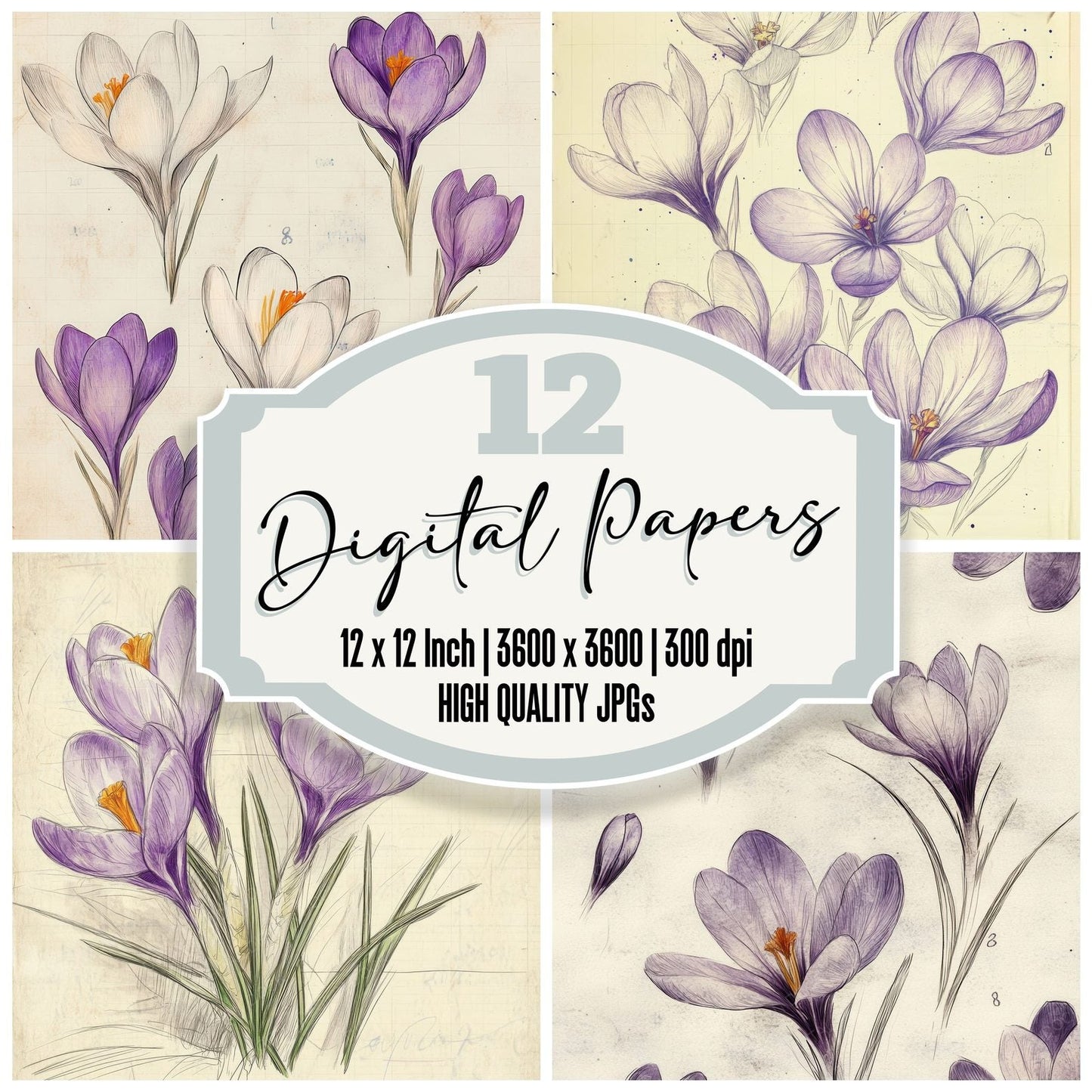 Sketch Crocus Notepad Digital Paper Pack (DDD003539)