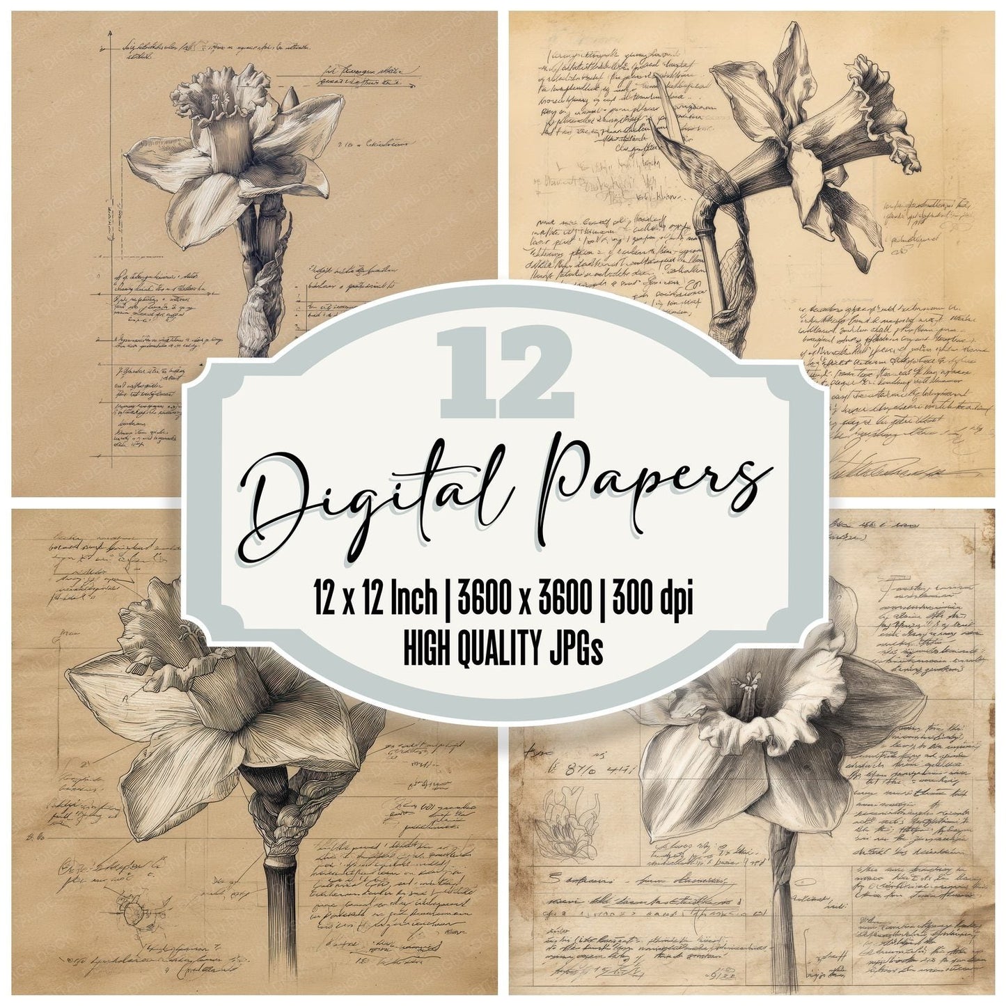 Sketch Daffodil Aerial View Digital Paper Pack (DDD003540)