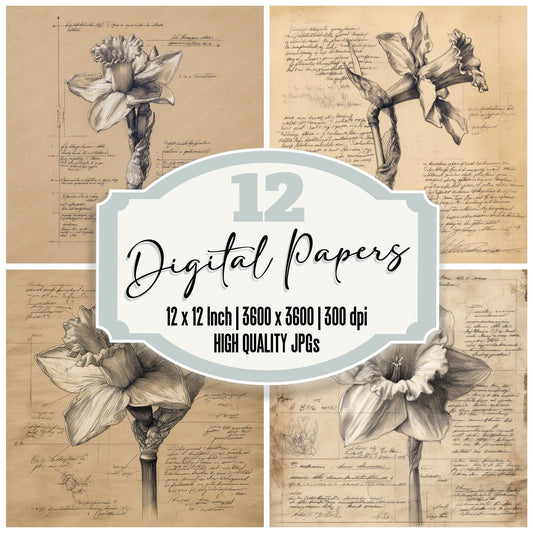 Sketch Daffodil Aerial View Digital Paper Pack (DDD003540)