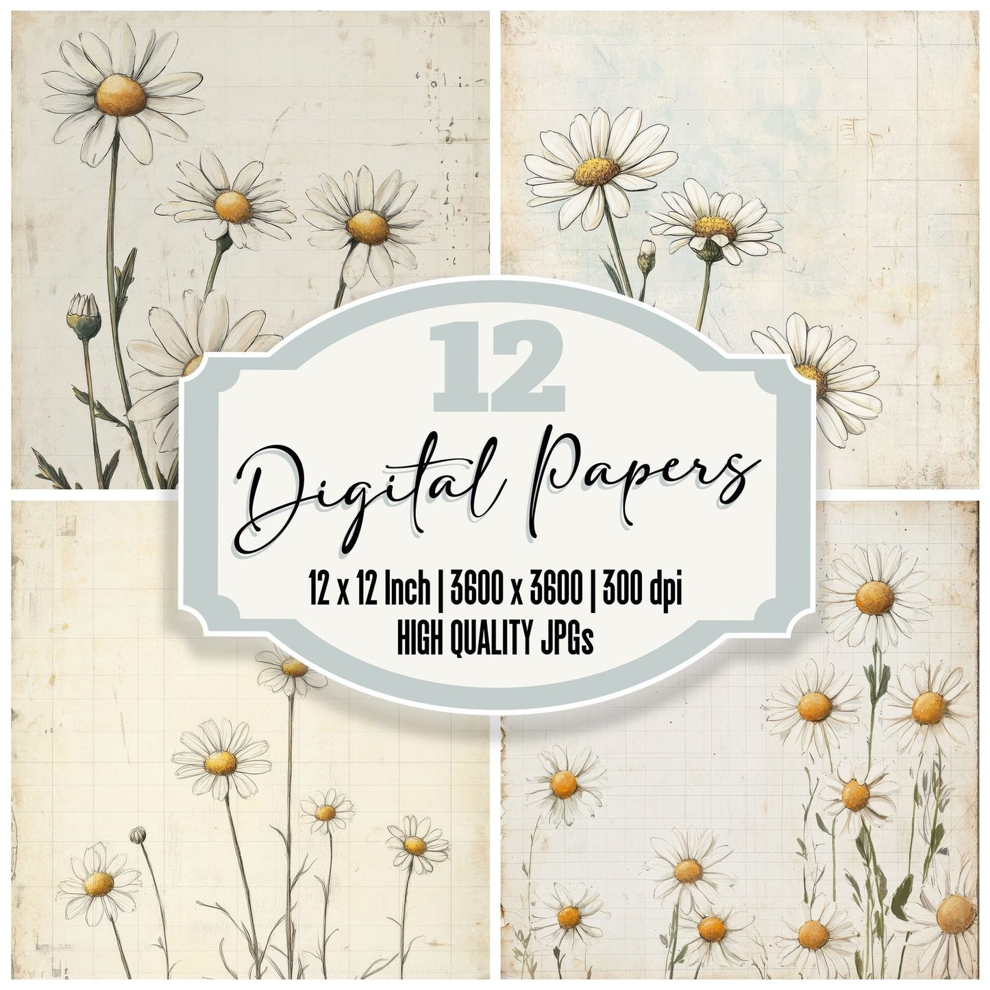 Sketch Daisy Colour Digital Paper Pack (DDD003543)