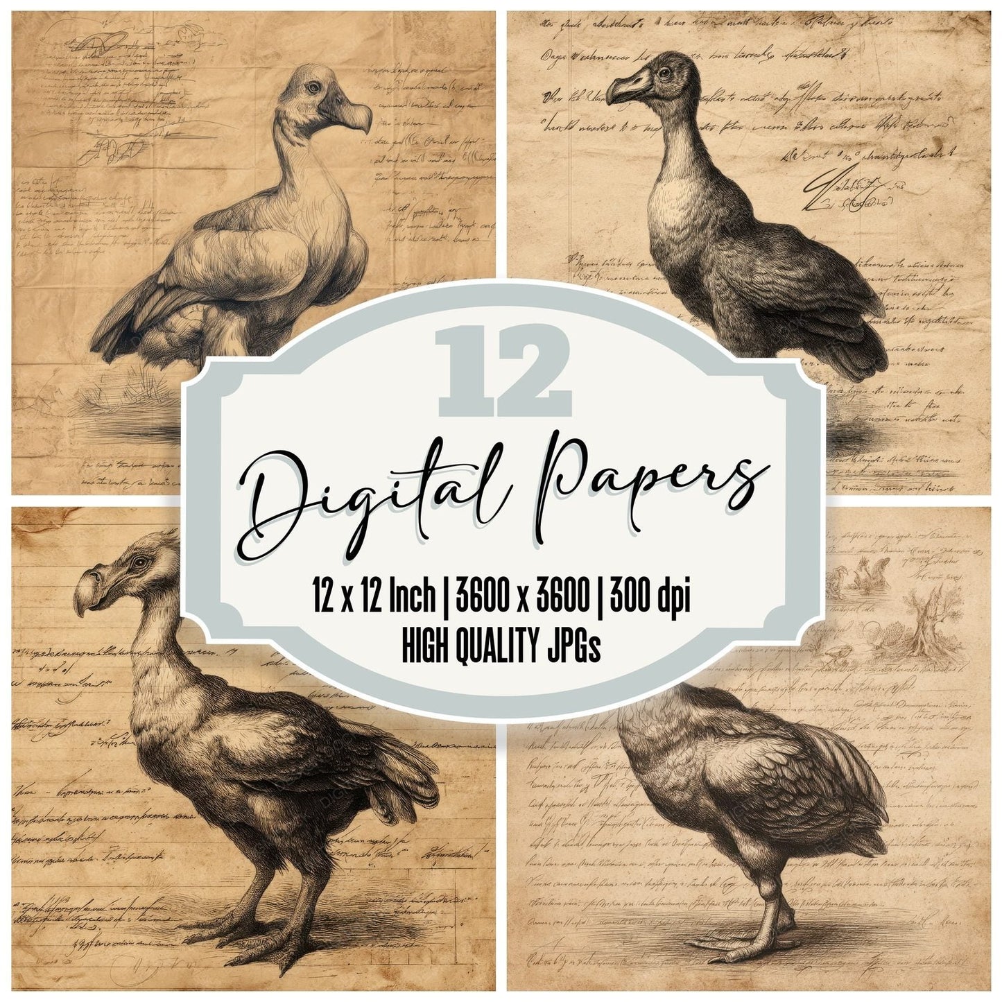 Sketch Dodo Bird Field Chart Digital Paper Pack (DDD003546)