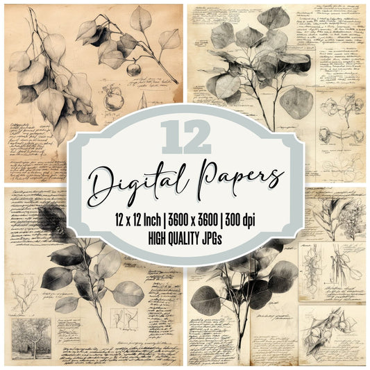 Sketch Eucalyptus Leaf Cluster Digital Paper Pack (DDD003548)