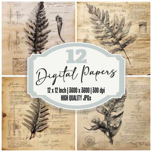 Sketch Fern Leaf Detail Digital Paper Pack (DDD003551)