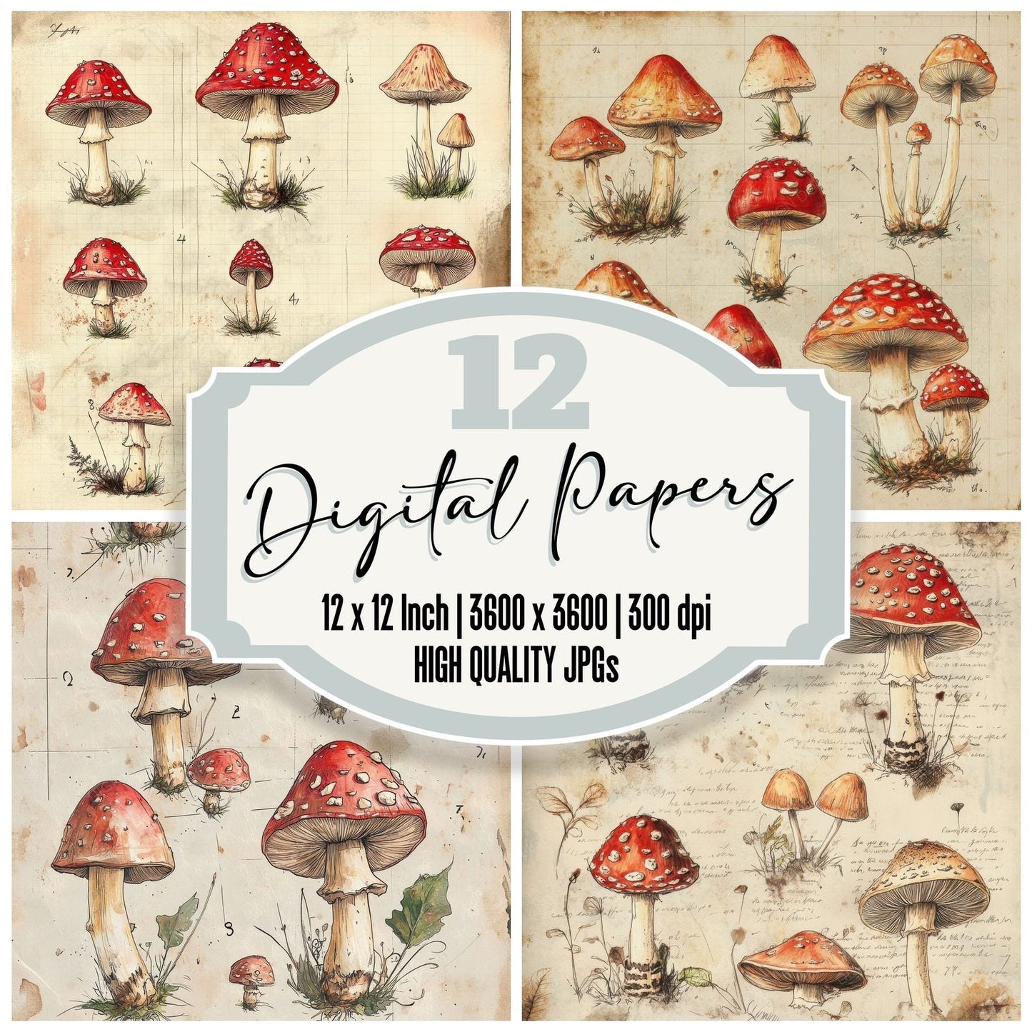 Sketch Fly Agaric Notepad Digital Paper Pack (DDD003554)