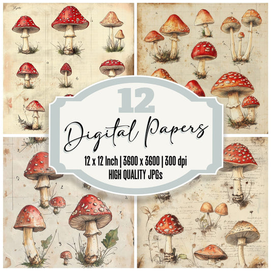 Sketch Fly Agaric Notepad Digital Paper Pack (DDD003554)