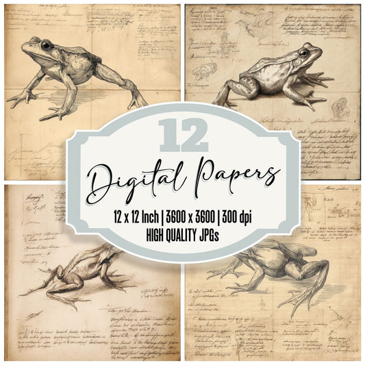 Sketch Frog Anatomy Chart Digital Paper Pack (DDD003559)