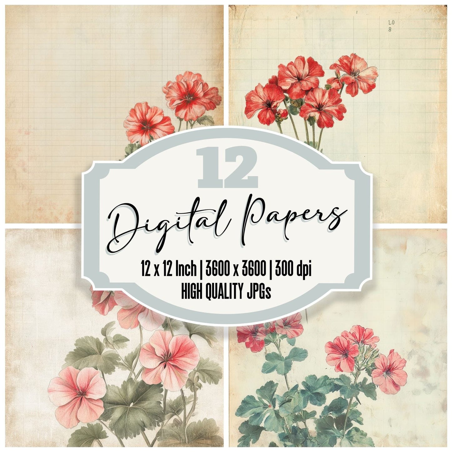 Sketch Geranium Notepad Digital Paper Pack (DDD003562)