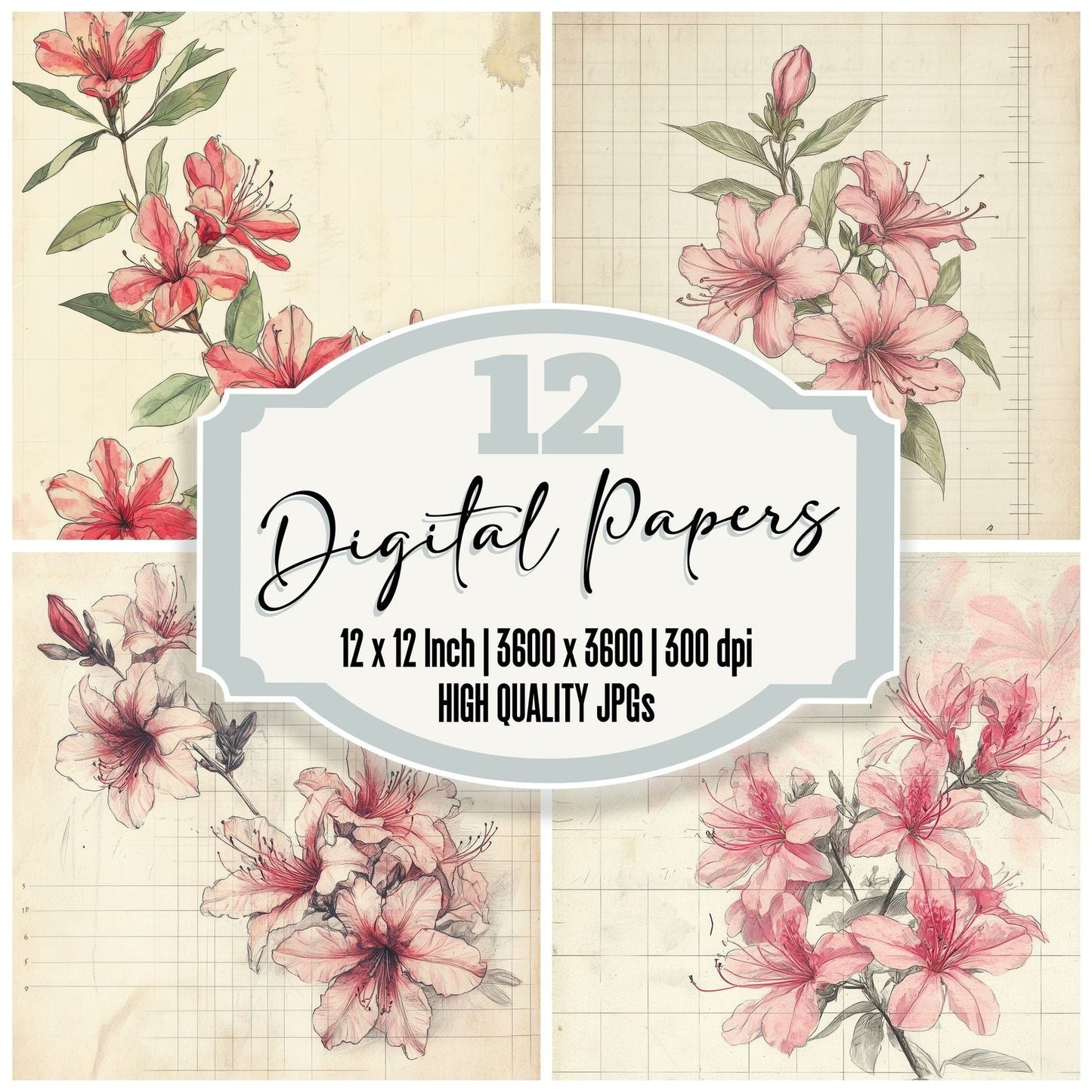 Sketch Gerbera Notepad Digital Paper Pack (DDD003563)
