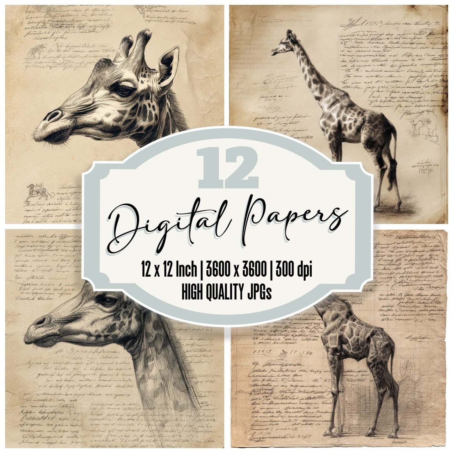 Sketch Giraffe Anatomy Plate Digital Paper Pack (DDD003564)