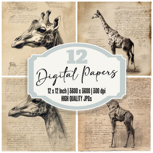 Sketch Giraffe Anatomy Plate Digital Paper Pack (DDD003564)