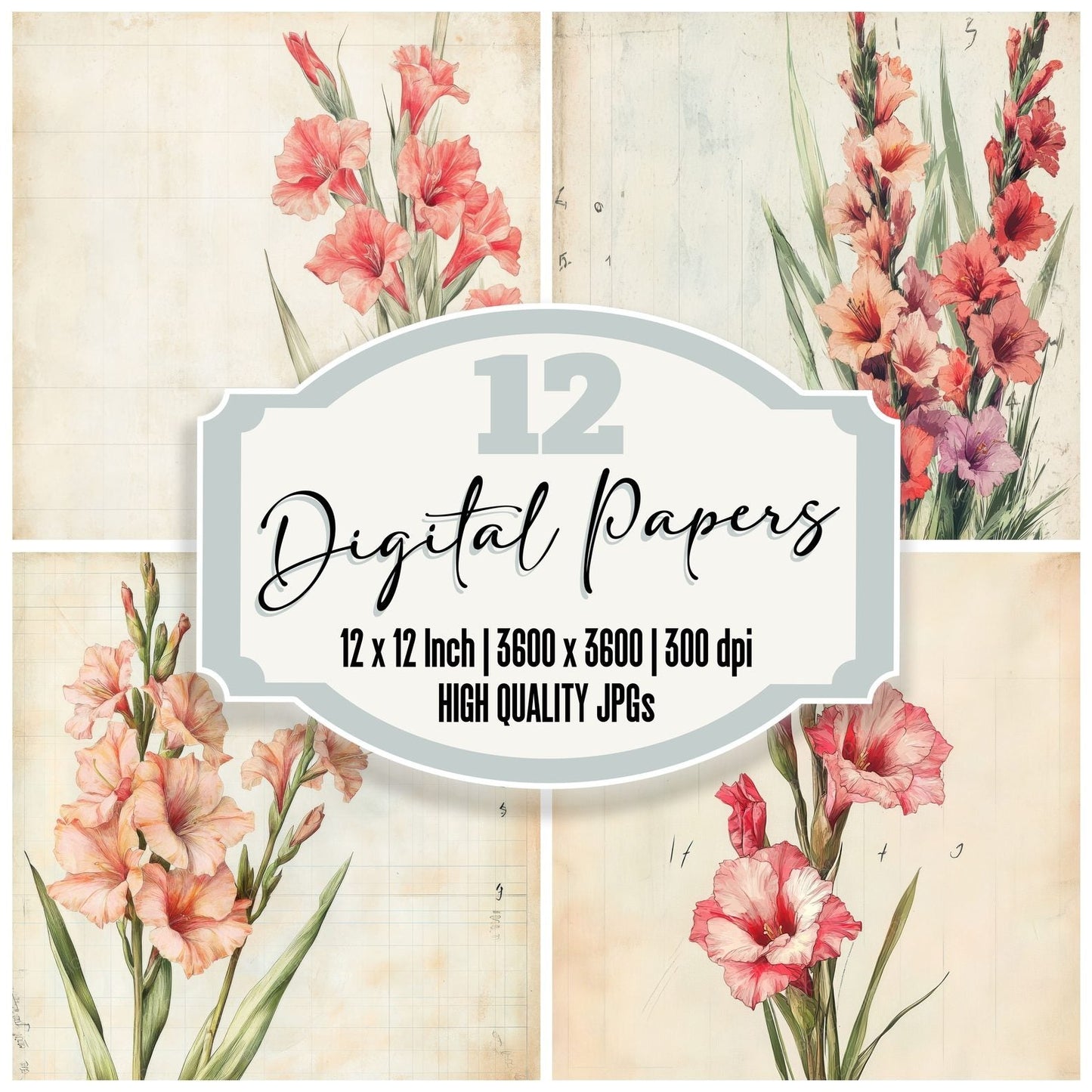 Sketch Gladiolus Notepad Digital Paper Pack (DDD003565)
