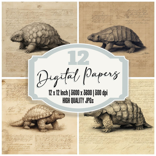 Sketch Glyptodon Crouch Chart Digital Paper Pack (DDD003566)