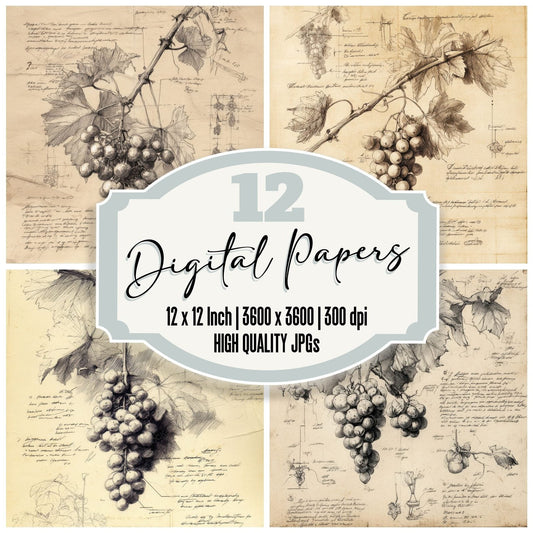 Sketch Grapes Vine Cluster Digital Paper Pack (DDD003567)