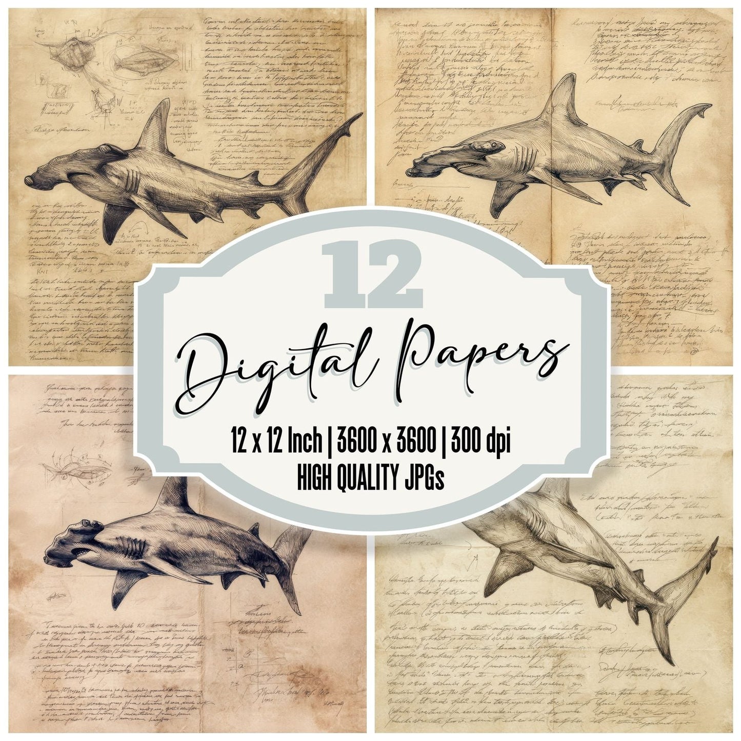 Sketch Hammerhead Shark Digital Paper Pack (DDD003569)