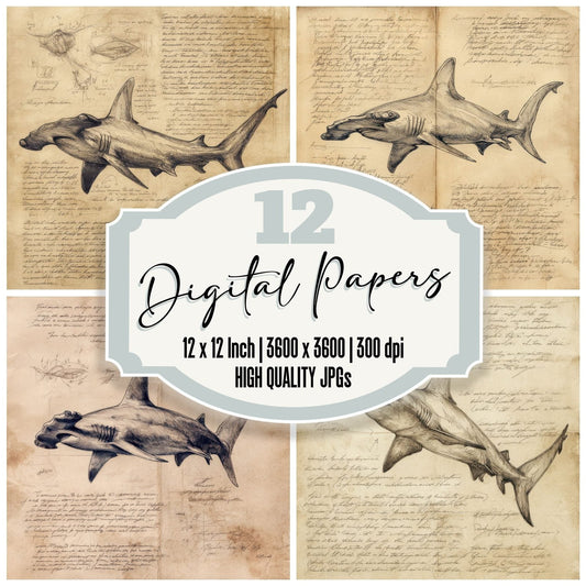 Sketch Hammerhead Shark Digital Paper Pack (DDD003569)