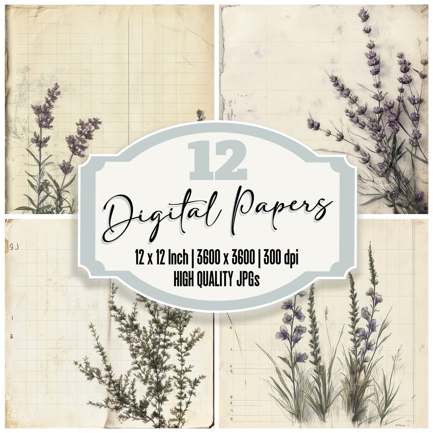 Sketch Heather Notepad Digital Paper Pack (DDD003571)